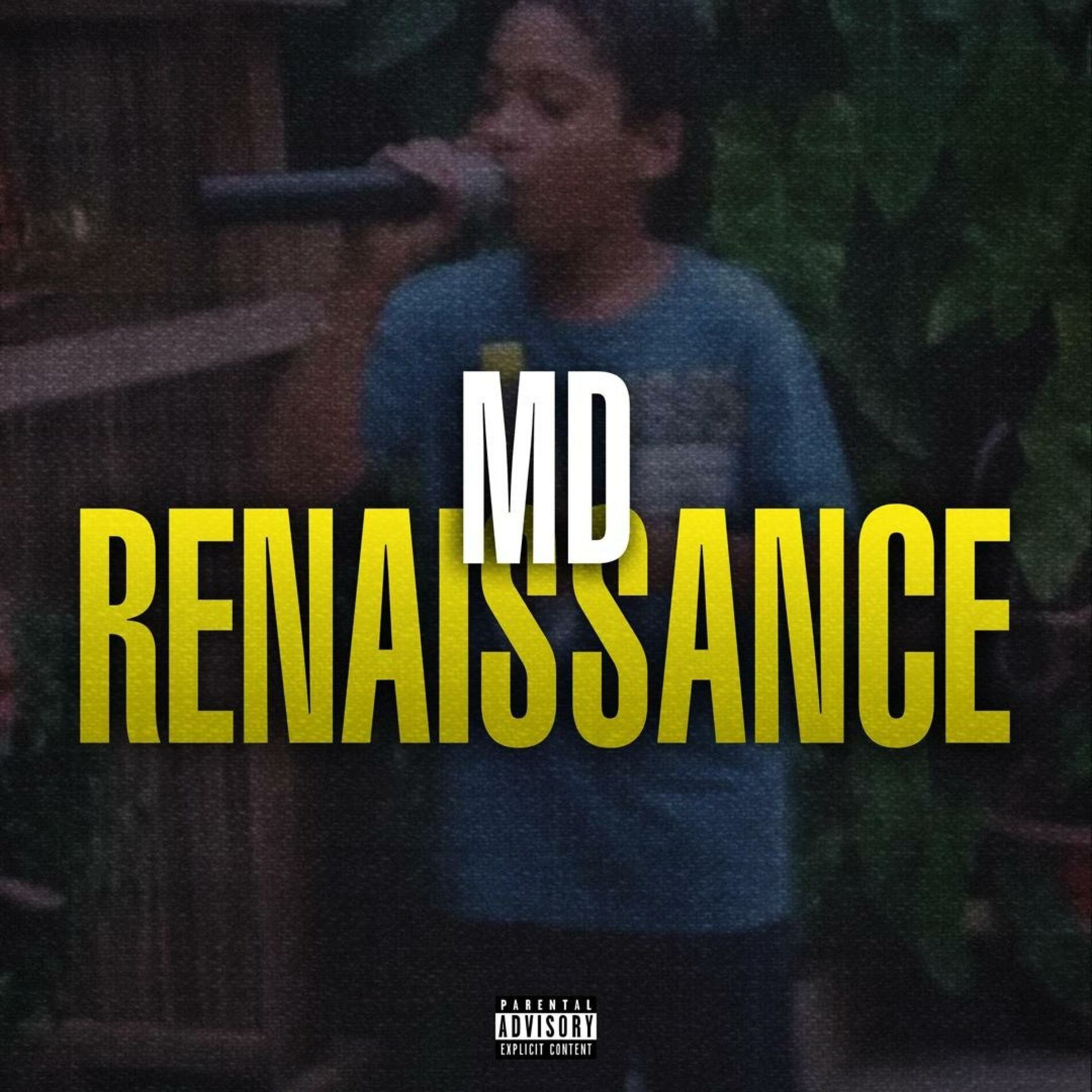 Album cover of Renaissance
