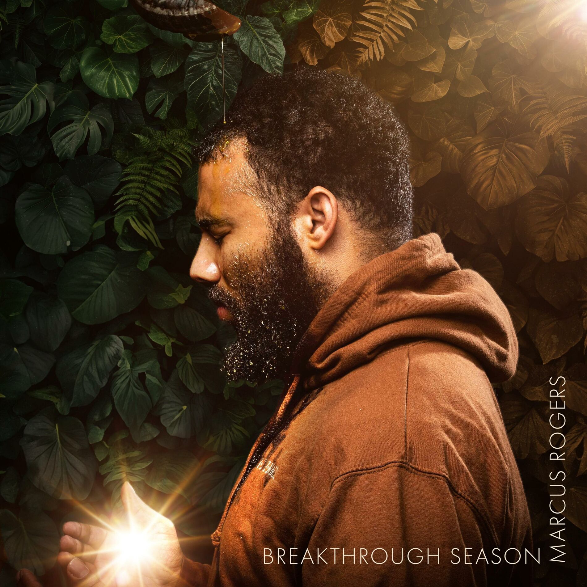 Album cover of The Breakthrough Season