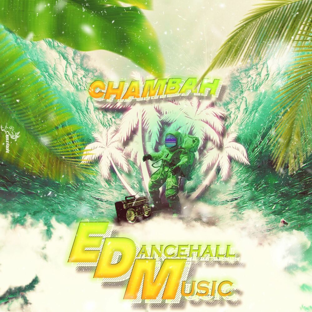 Picture of EDM Dancehall Music