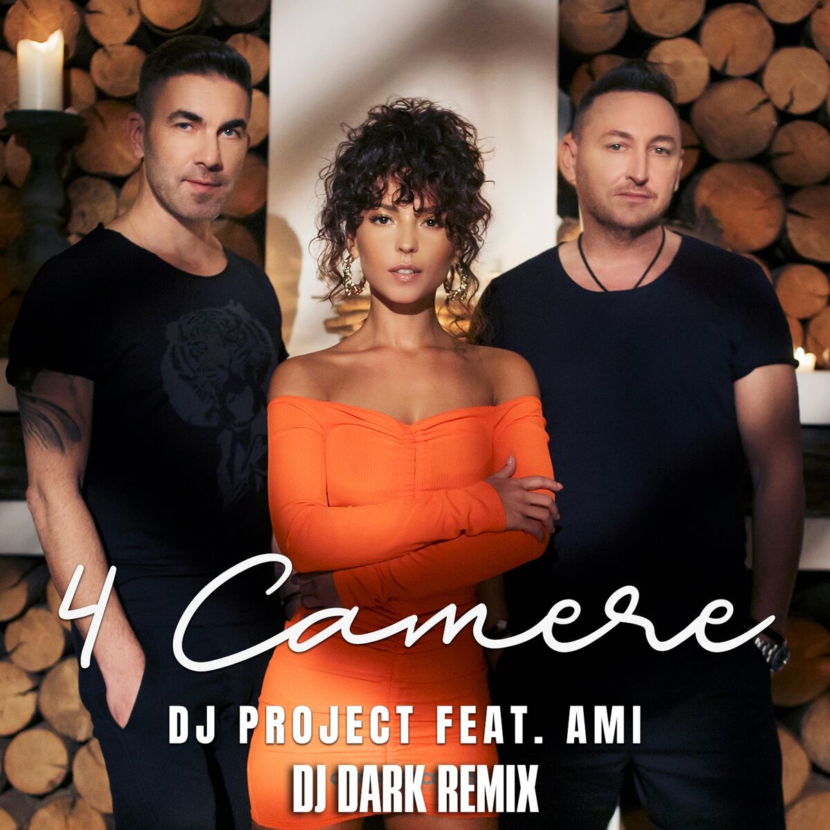 Album cover of 4 Camere (DJ Dark Remix)
