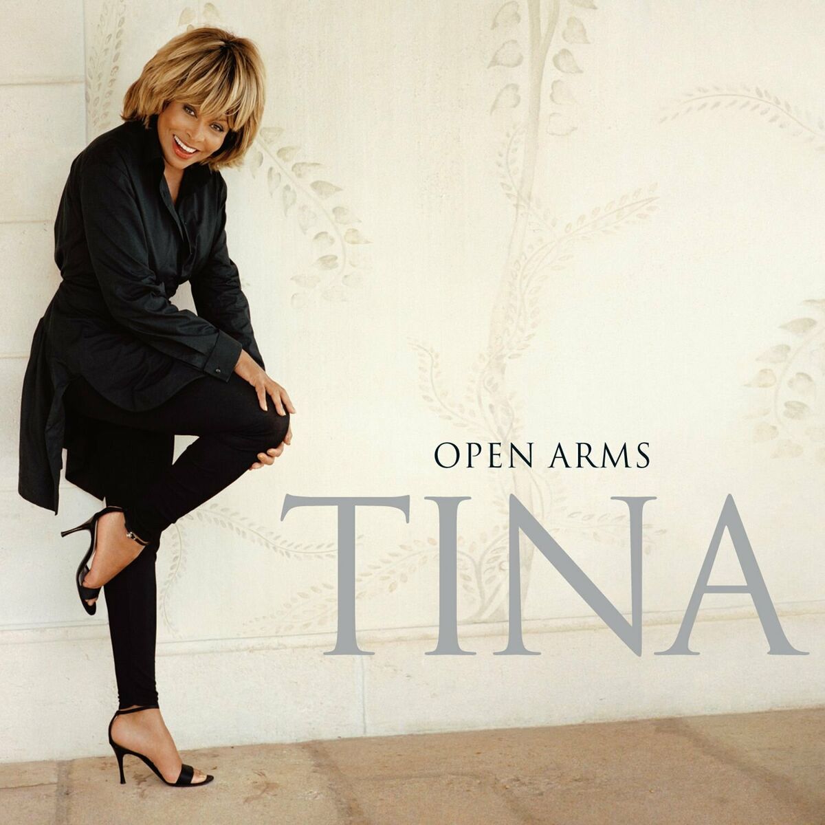 Tina Turner - Great Spirits: listen with lyrics | Deezer