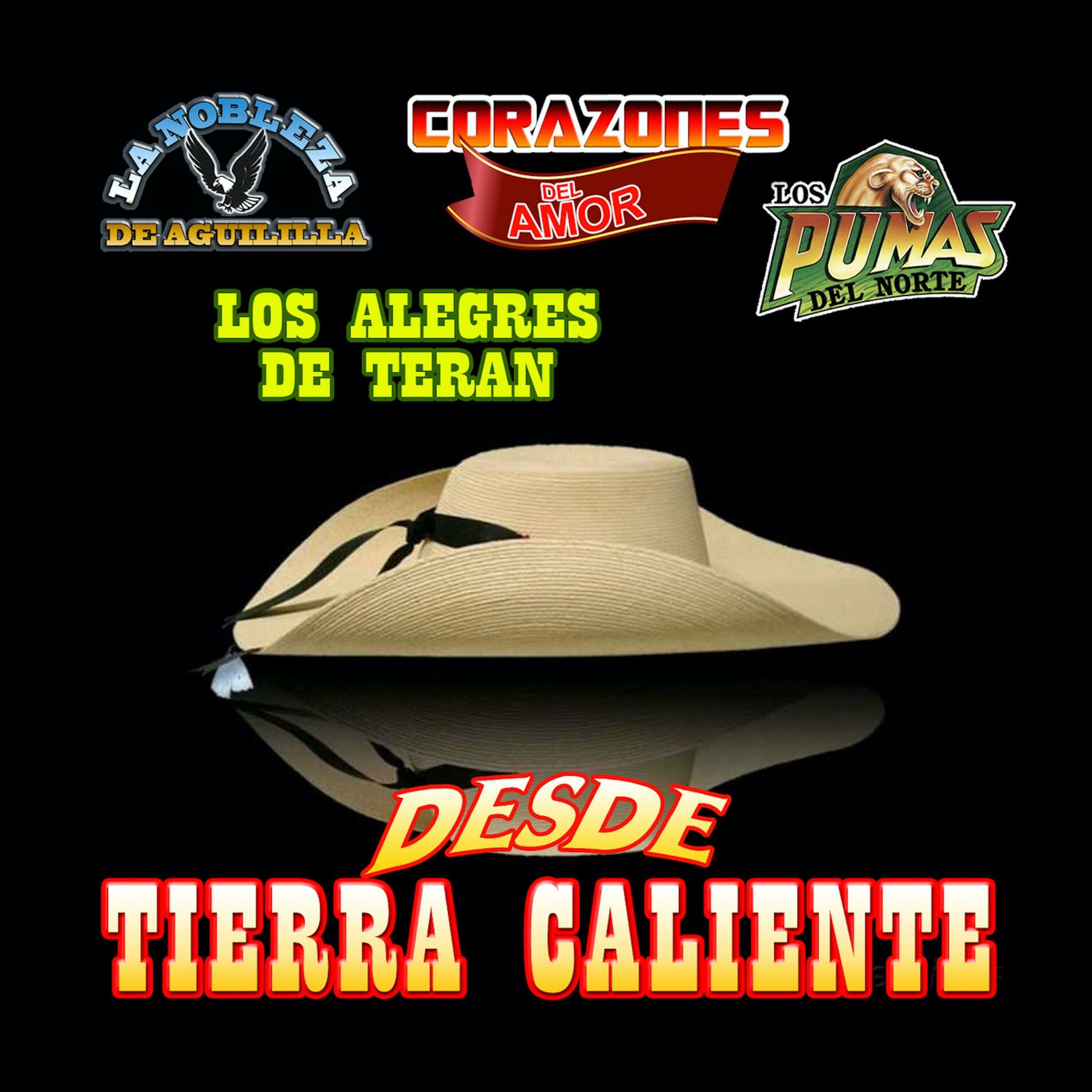 Album cover of Desde Tierra Caliente