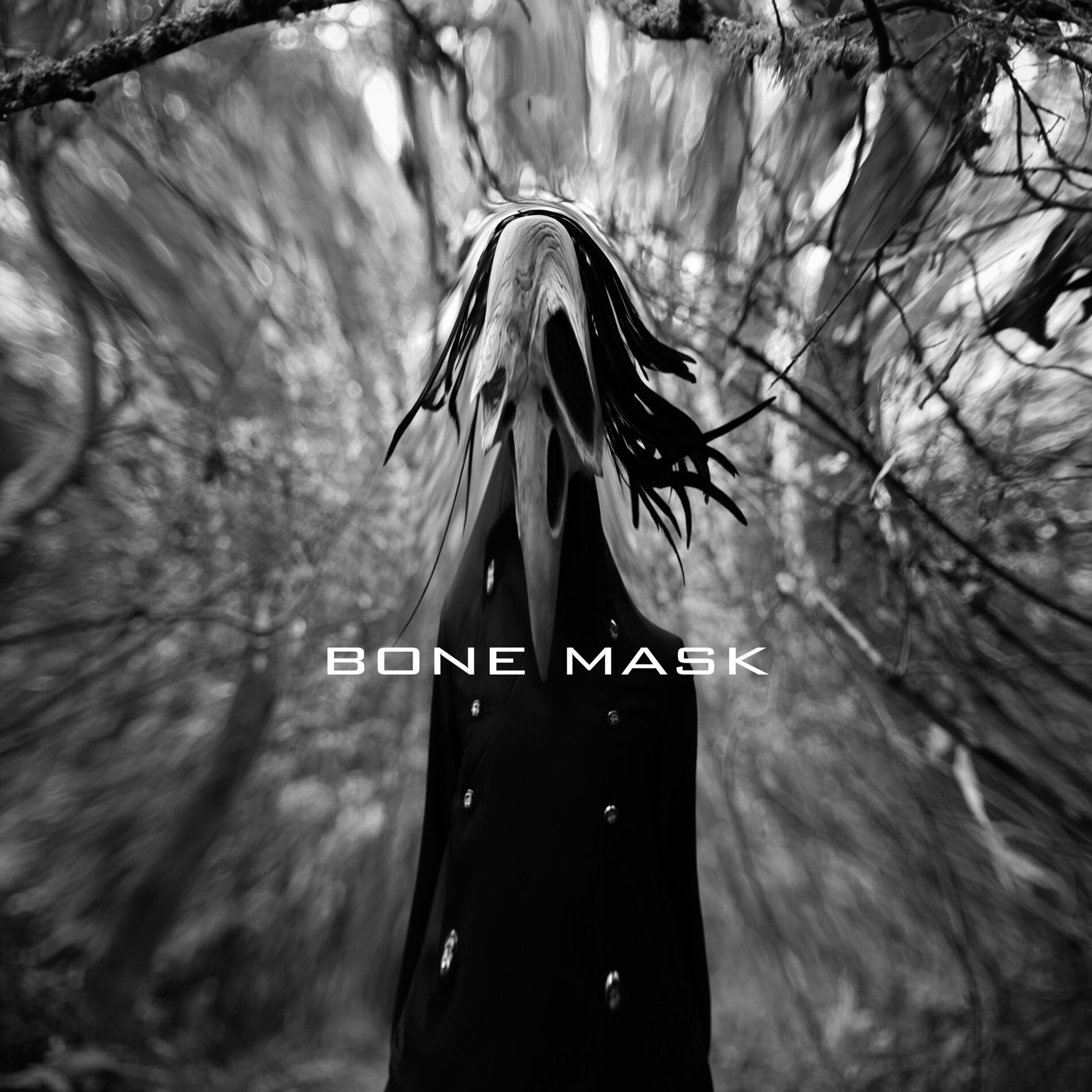 Album cover of Bone Mask