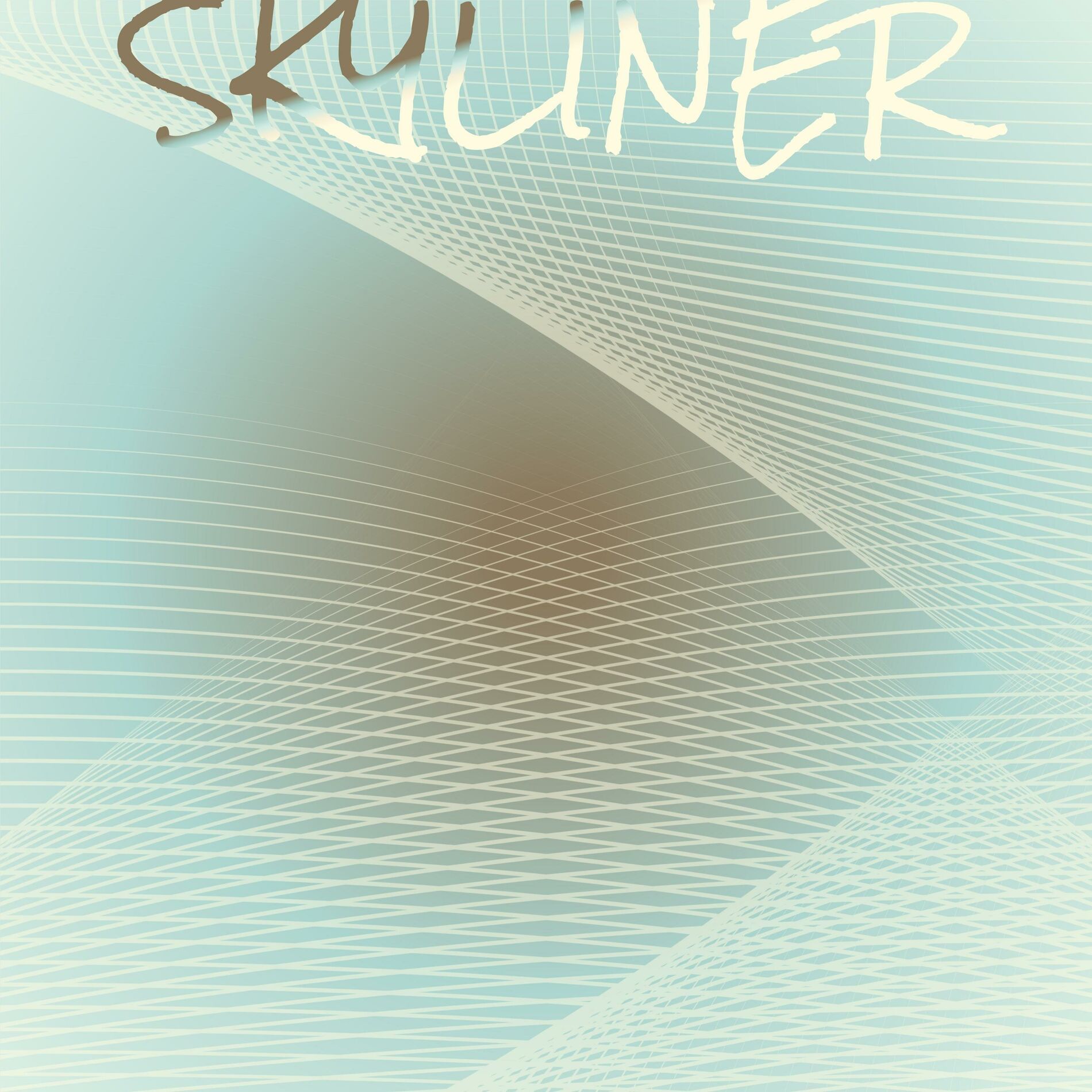 Album cover of Skyliner