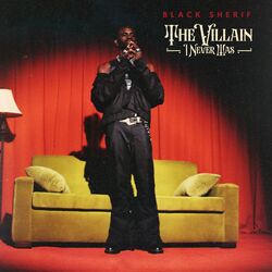 Cover of The Villain I Never Was