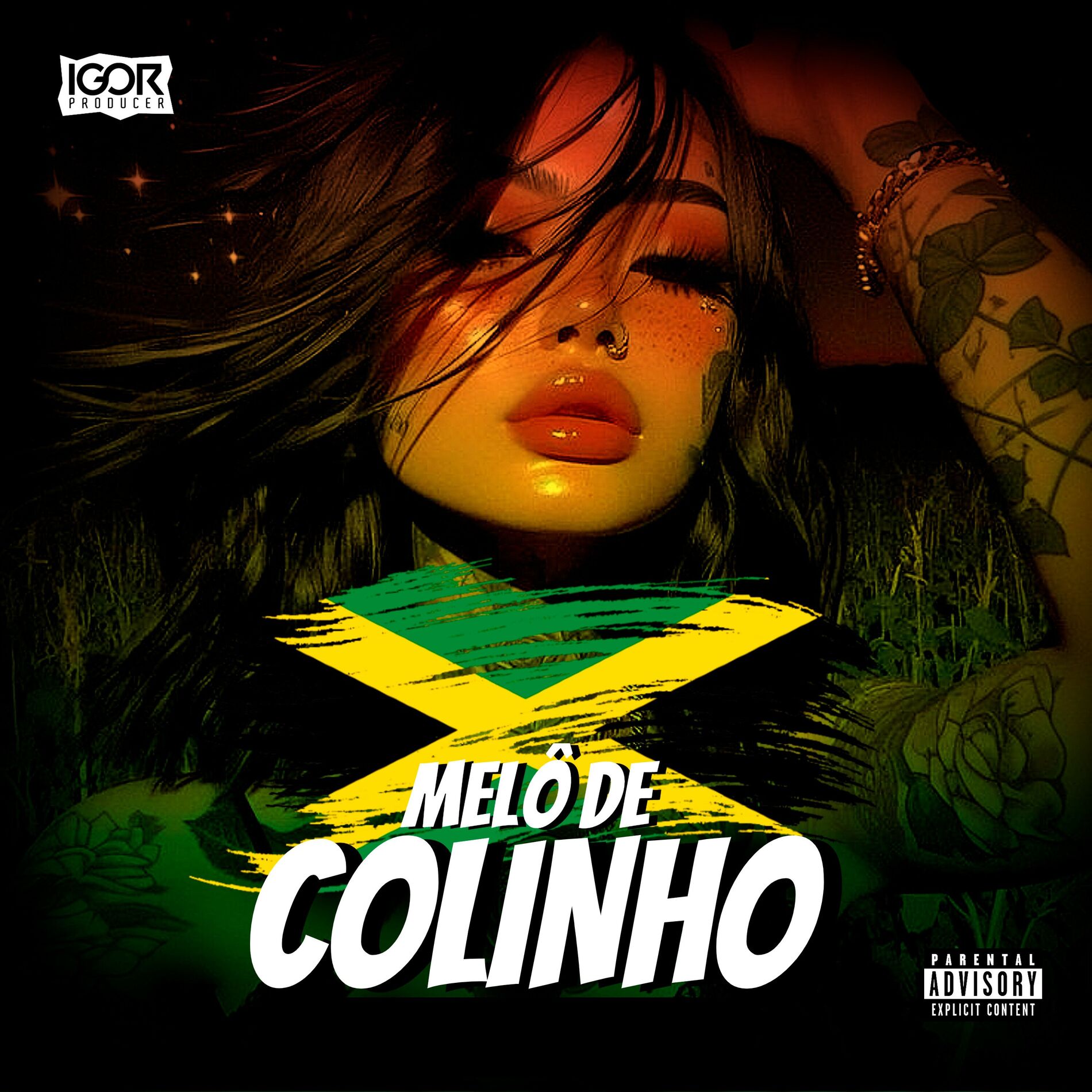 Album cover of Melô de Colinho