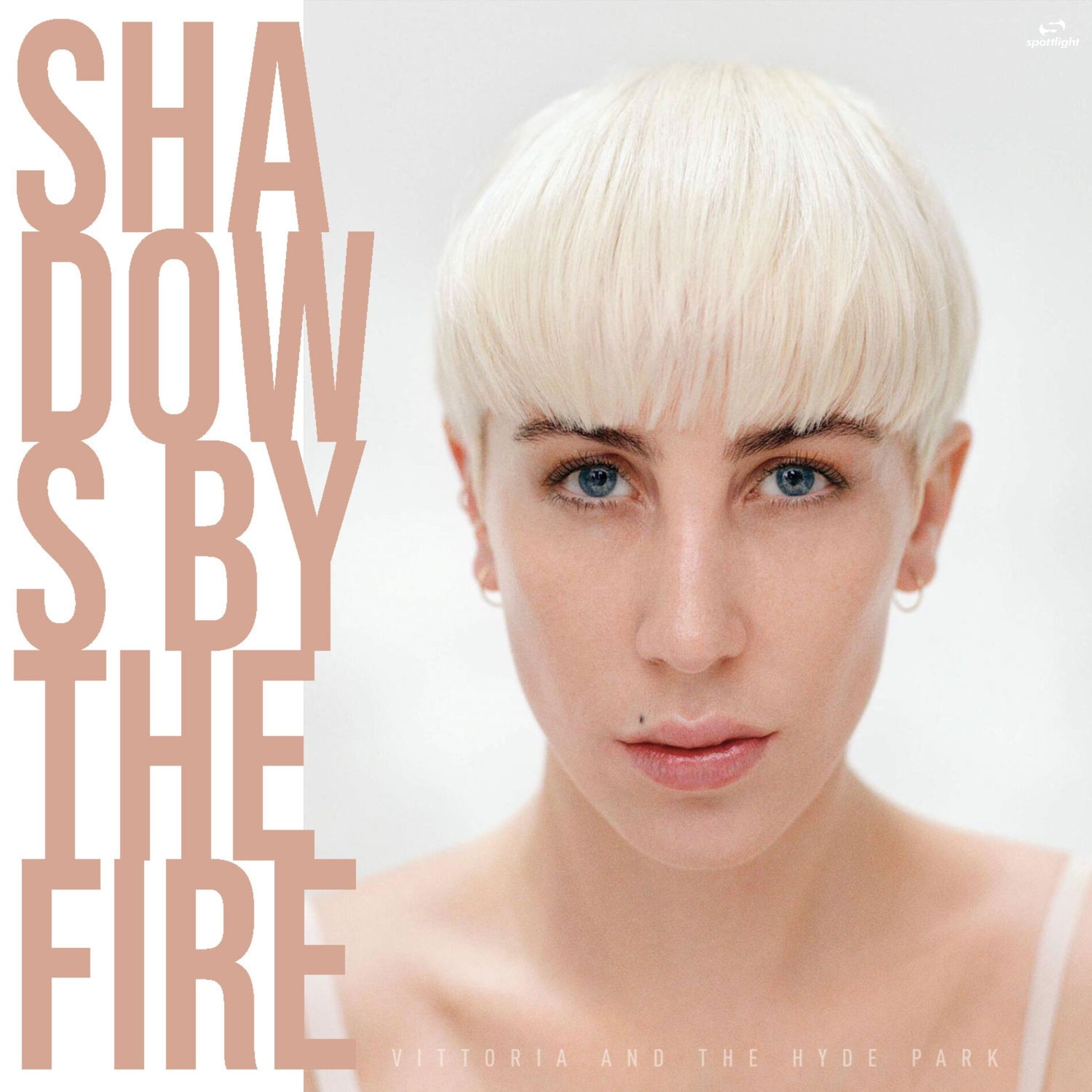 Album cover of Shadows by the Fire