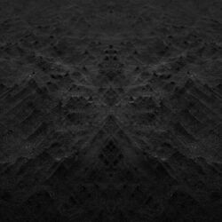 Cover of Ecology Vol. I