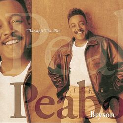 Cover of Through The Fire