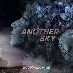 Cover of Another Sky