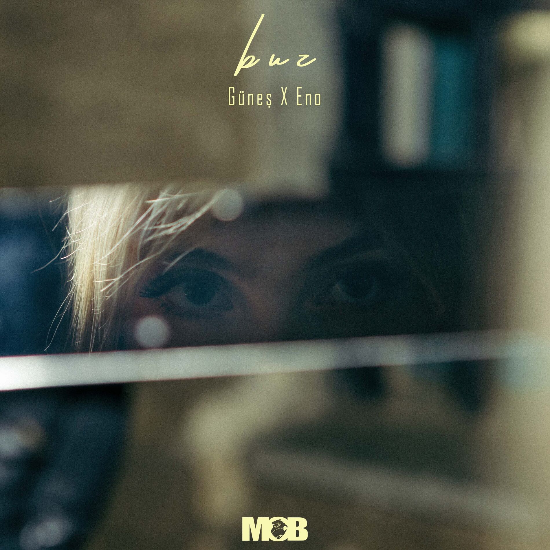 Album cover of Buz
