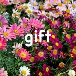 Cover of gift