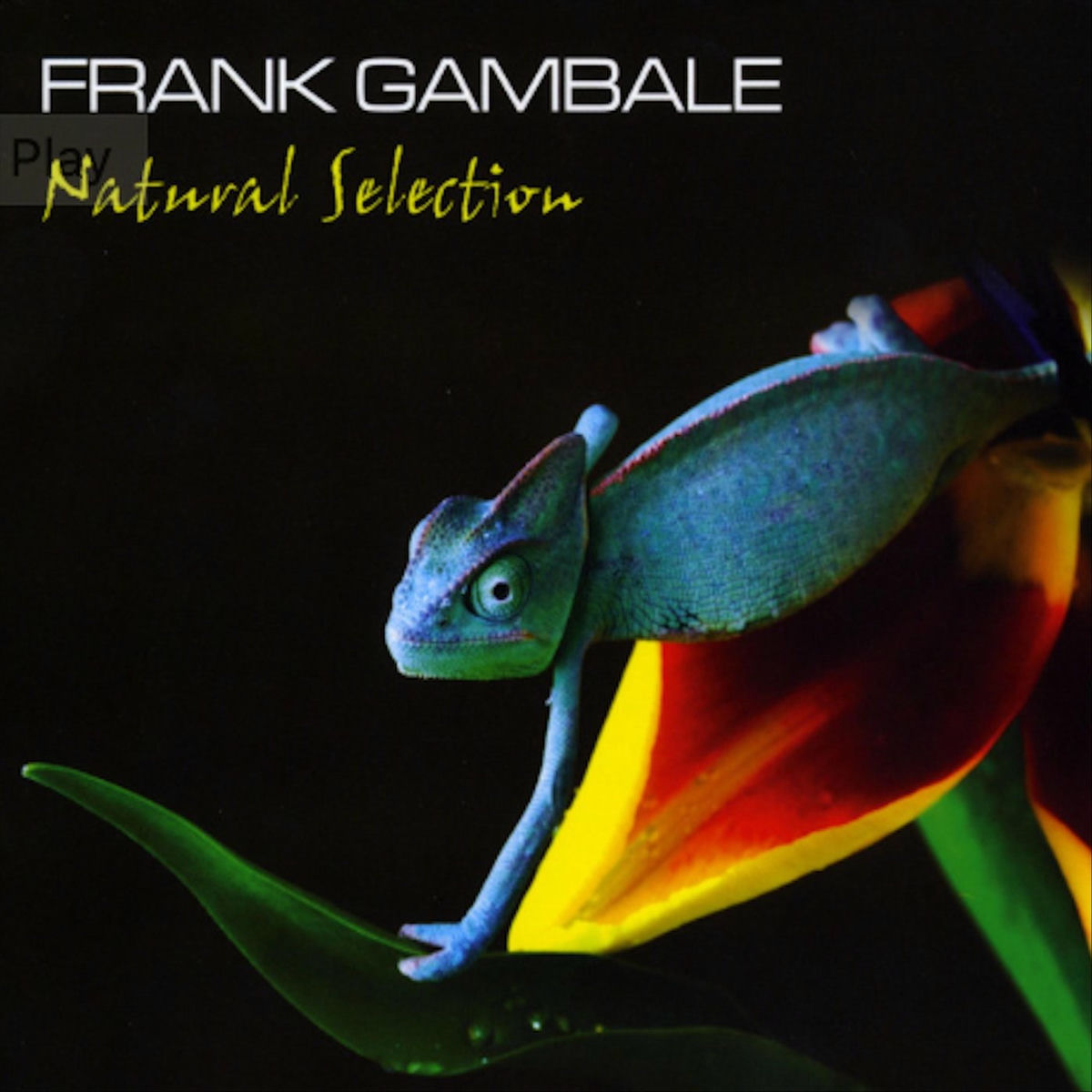 Album cover of Natural Selection