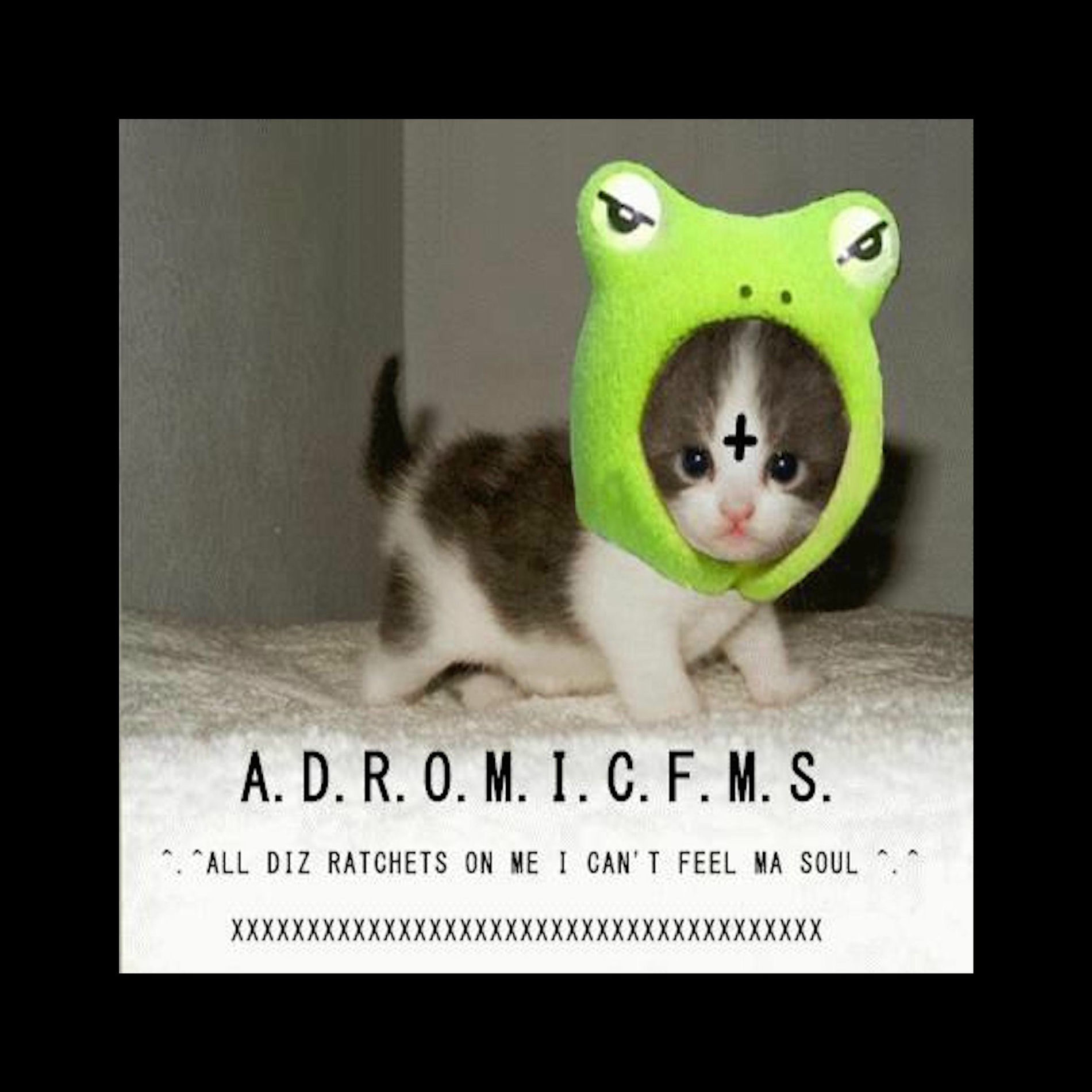 Album cover of A.D.R.O.M.I.C.F.M.S. 1