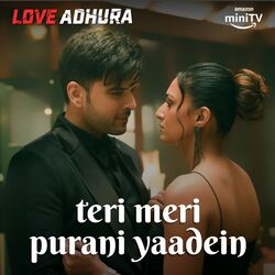 Cover of Teri Meri Purani Yaadein