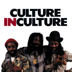 Cover of Culture In Culture