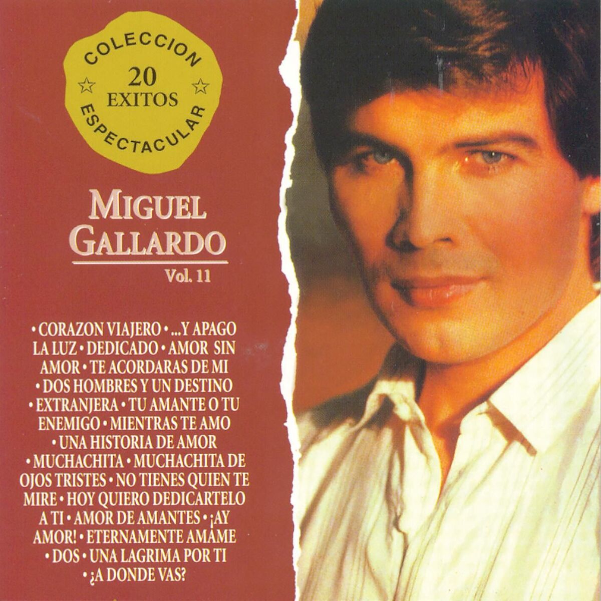 Album cover of Colección Espectacular 20 Éxitos Vol. 2