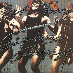 Cover of What You Hear Is What You Get: Live At Carnegie Hall