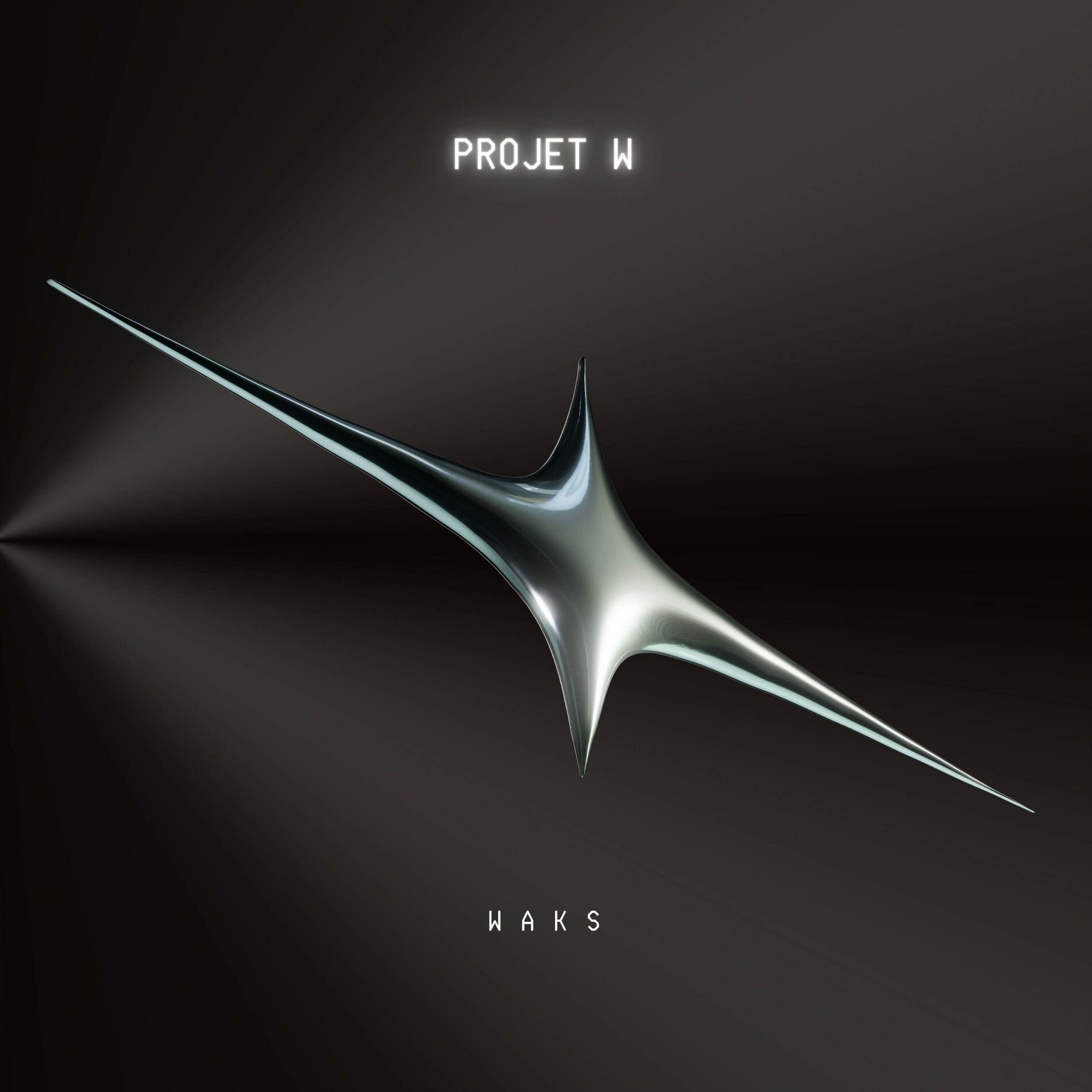Album cover of PROJET W