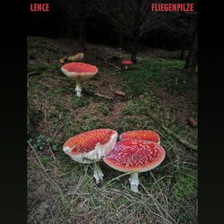 Cover of Fliegenpilze