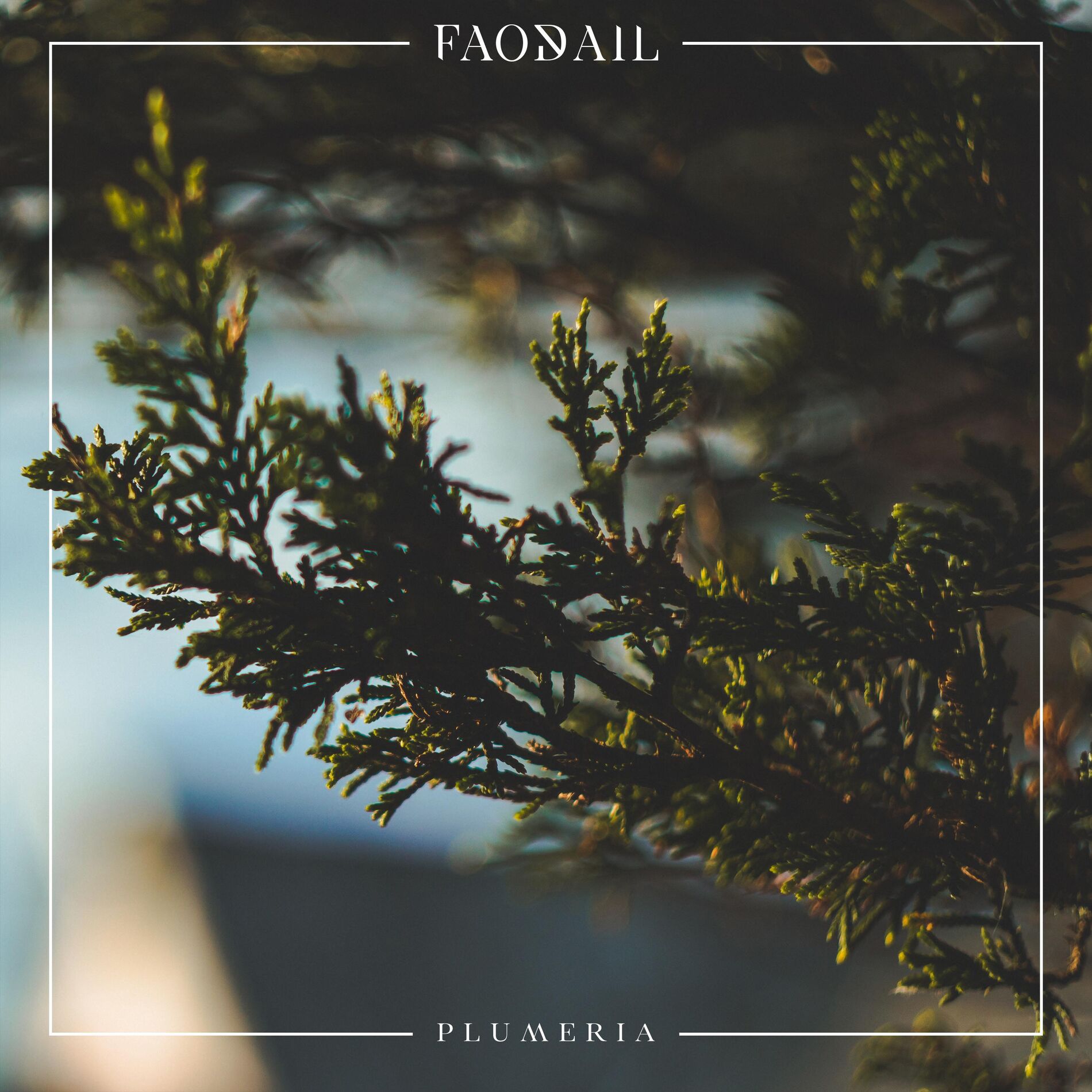 Album cover of Plumeria