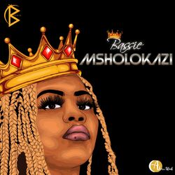 Cover of Msholokazi