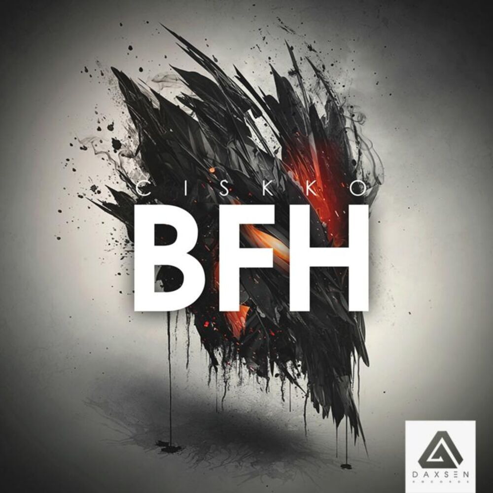 Picture of BFH