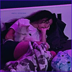 Cover of empty promises