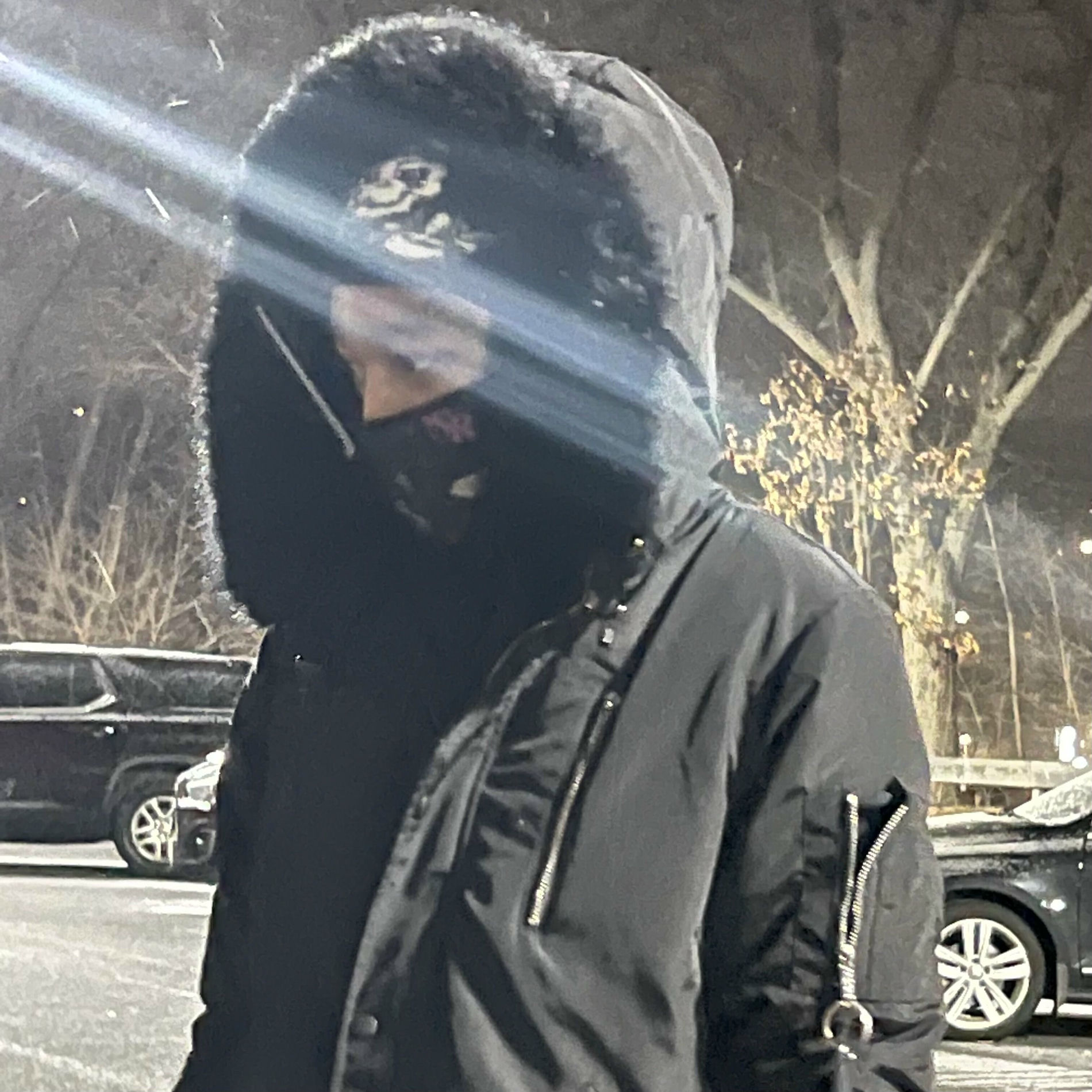 Album cover of Nobody Showed Up