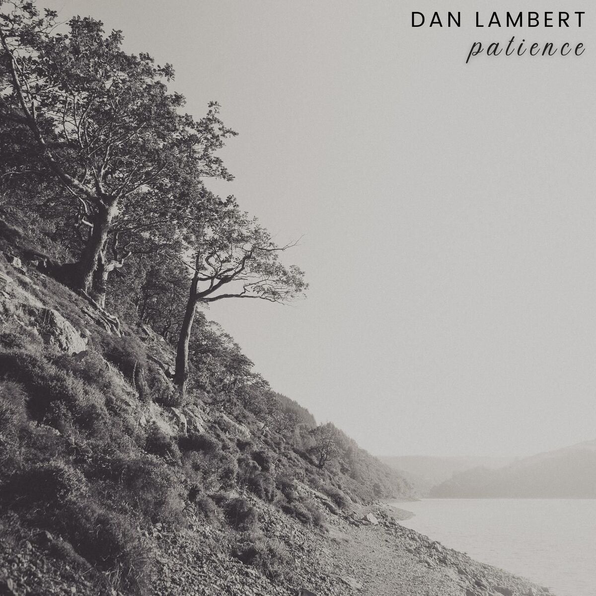 Album cover of Patience