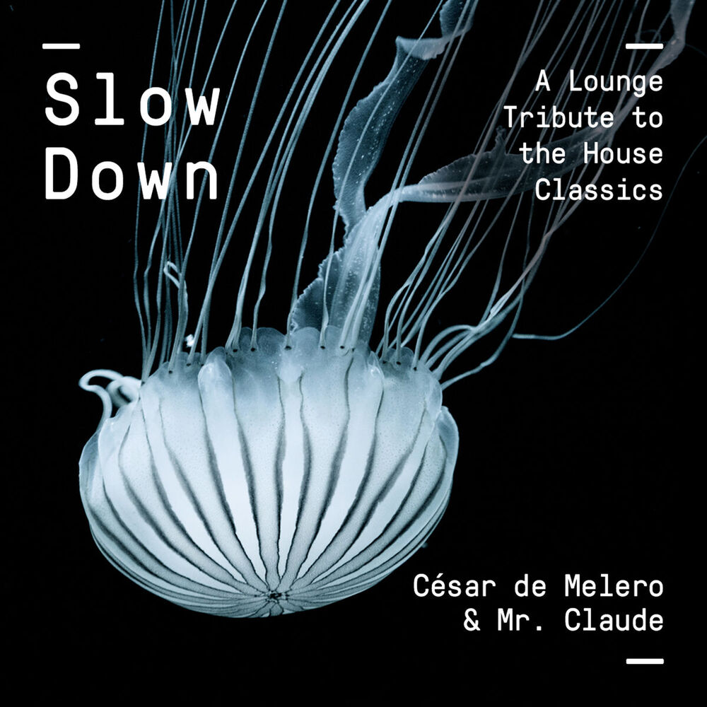 Picture of Slow Down