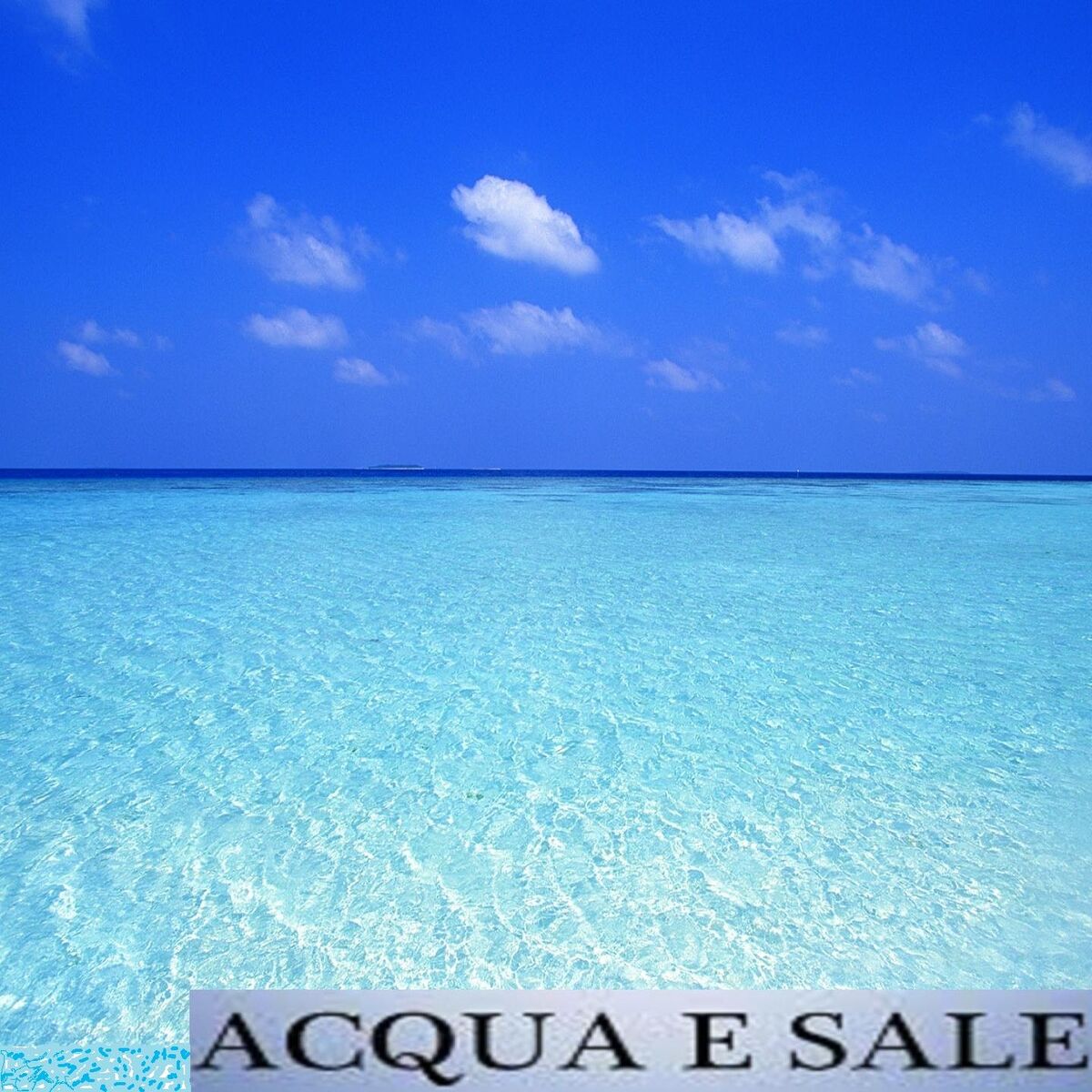 Album cover of Acqua e sale