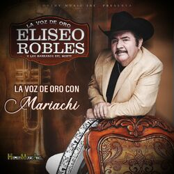 Cover of La Voz de Oro Con Mariachi