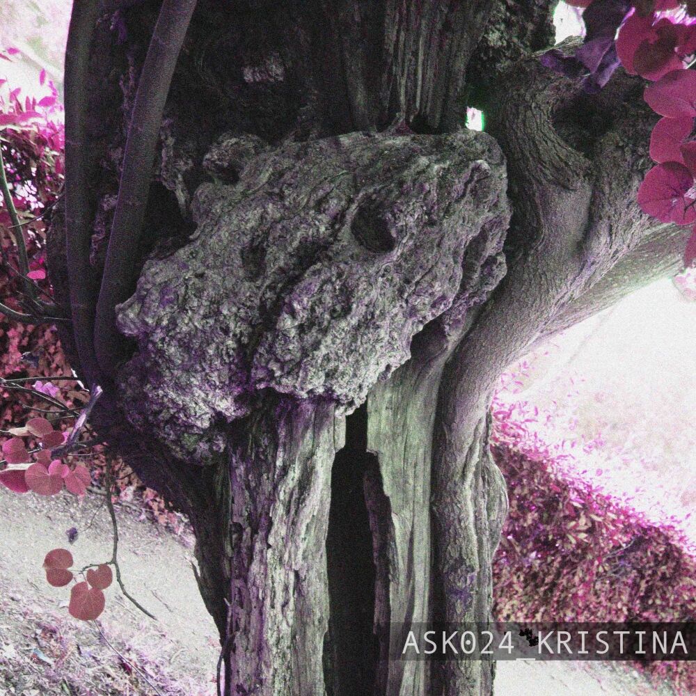 Picture of Material Domain EP