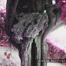 Cover of Material Domain EP