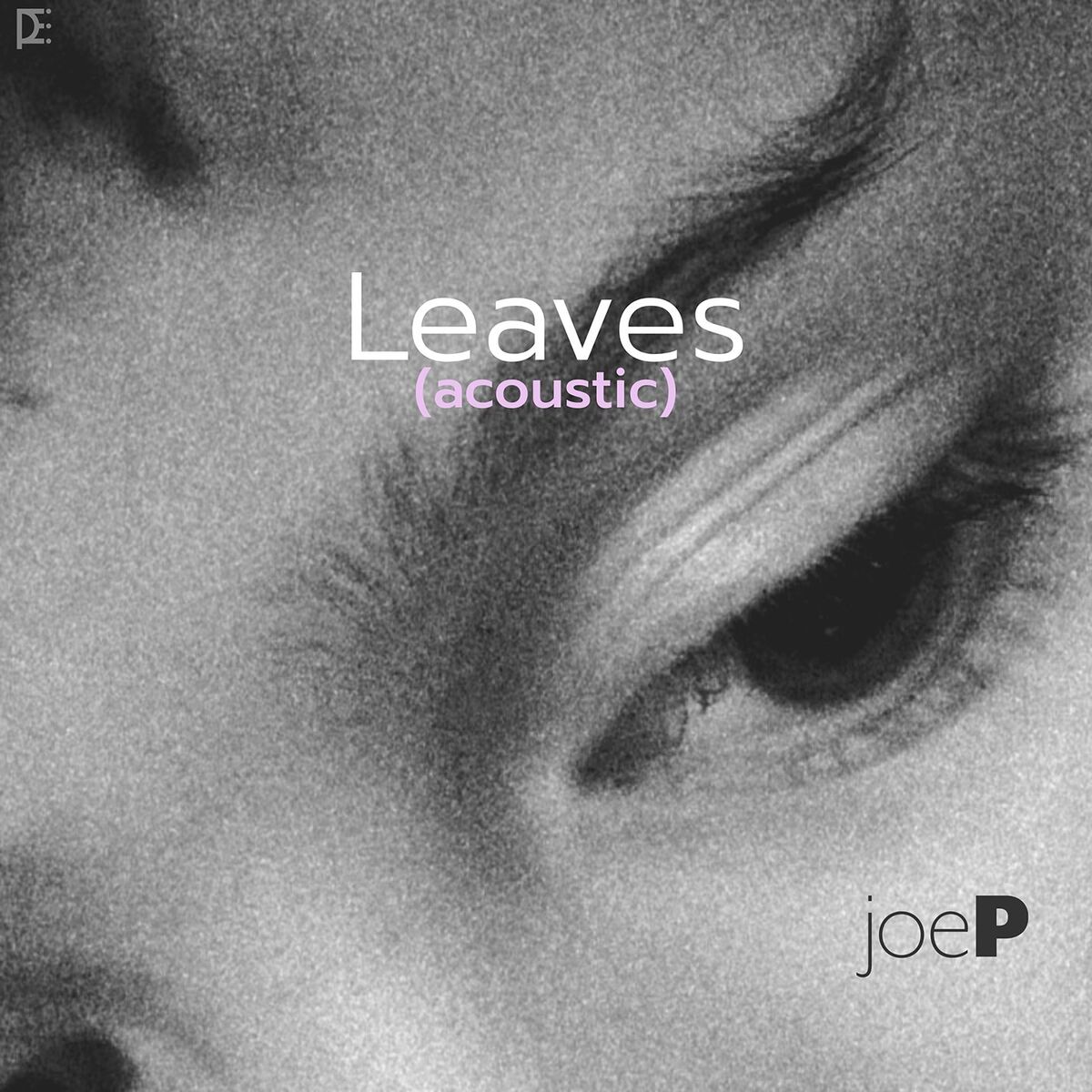 Album cover of Leaves