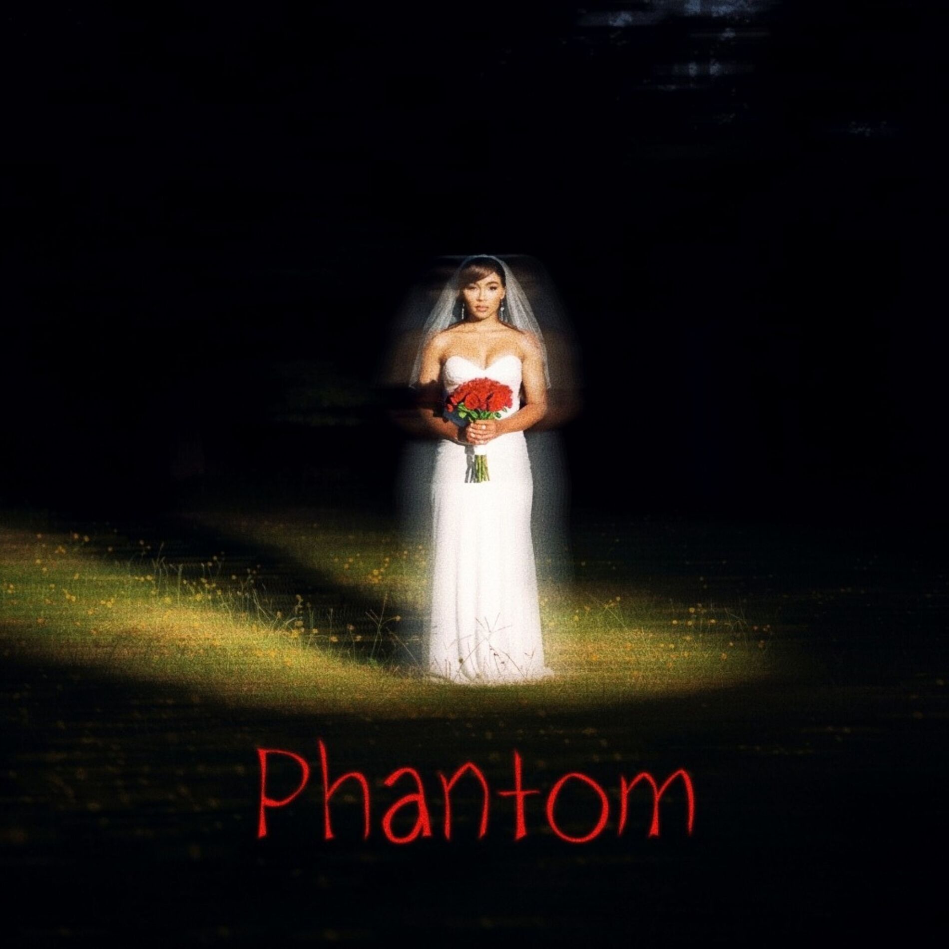 Album cover of Phantom