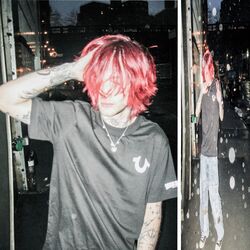 Cover of Favorite Addiction
