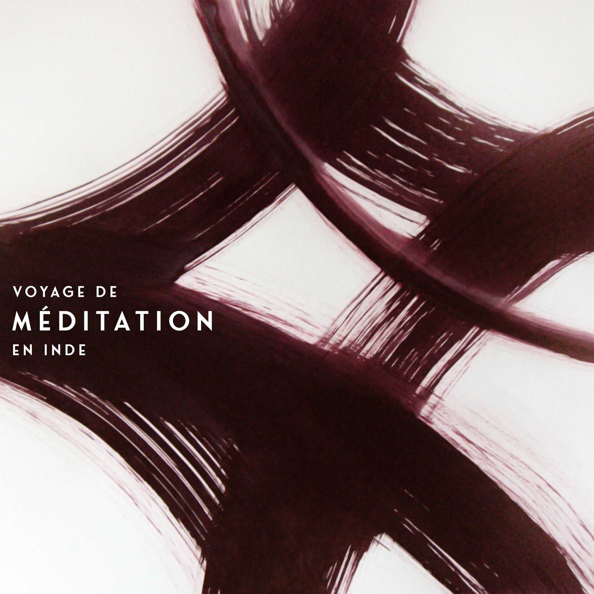 Album cover of Voyage de méditation en Inde: Source d'équilibre, d'énergie vitale et d'harmonie