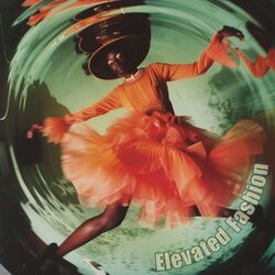 Cover of Elevated Fashion