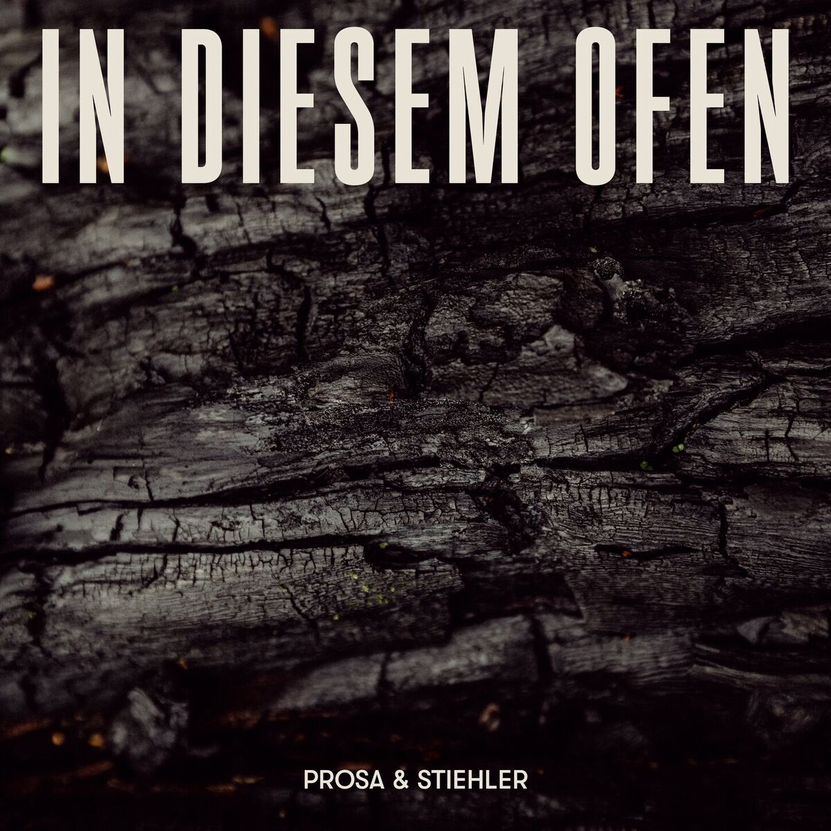 Album cover of In diesem Ofen