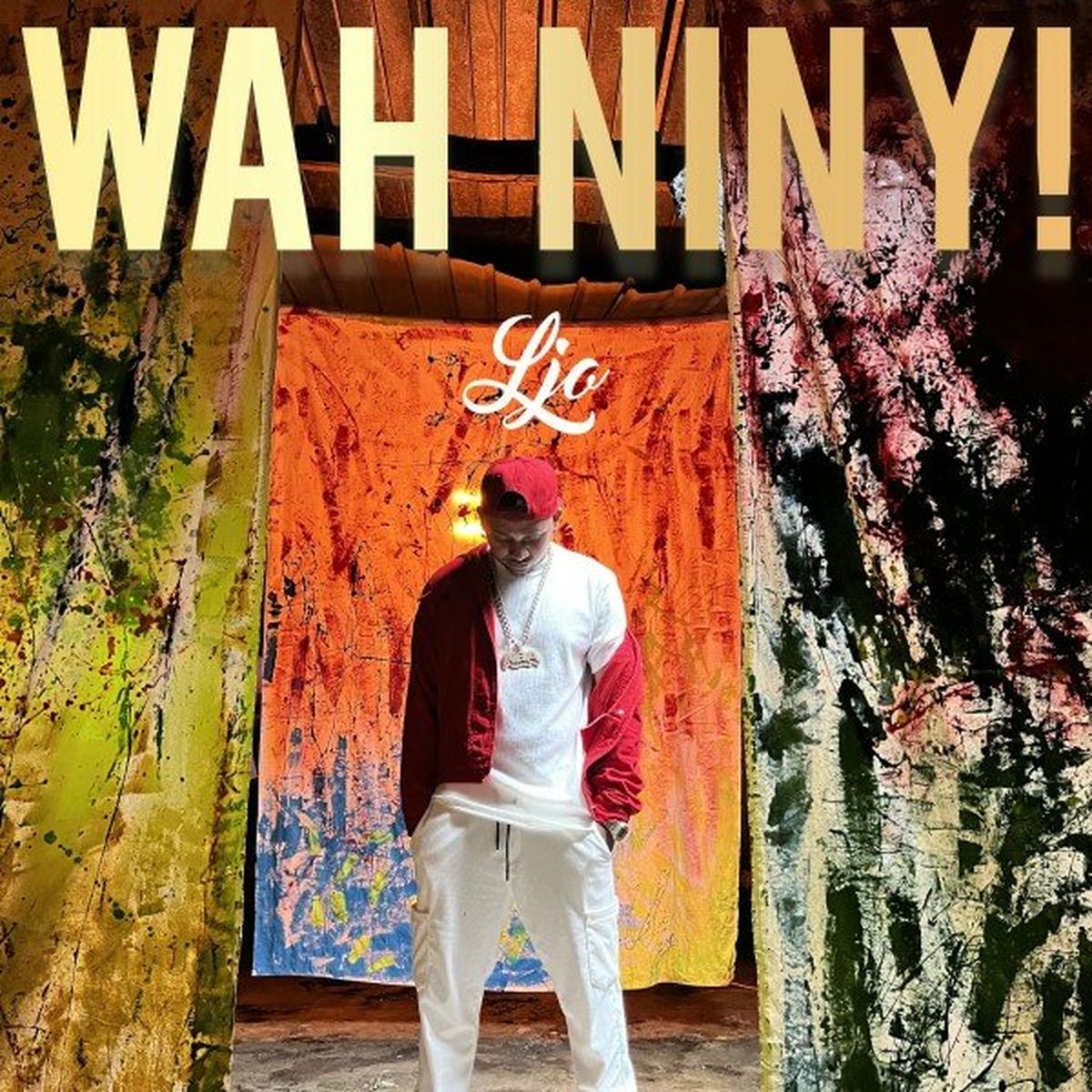 Album cover of Wah niny!