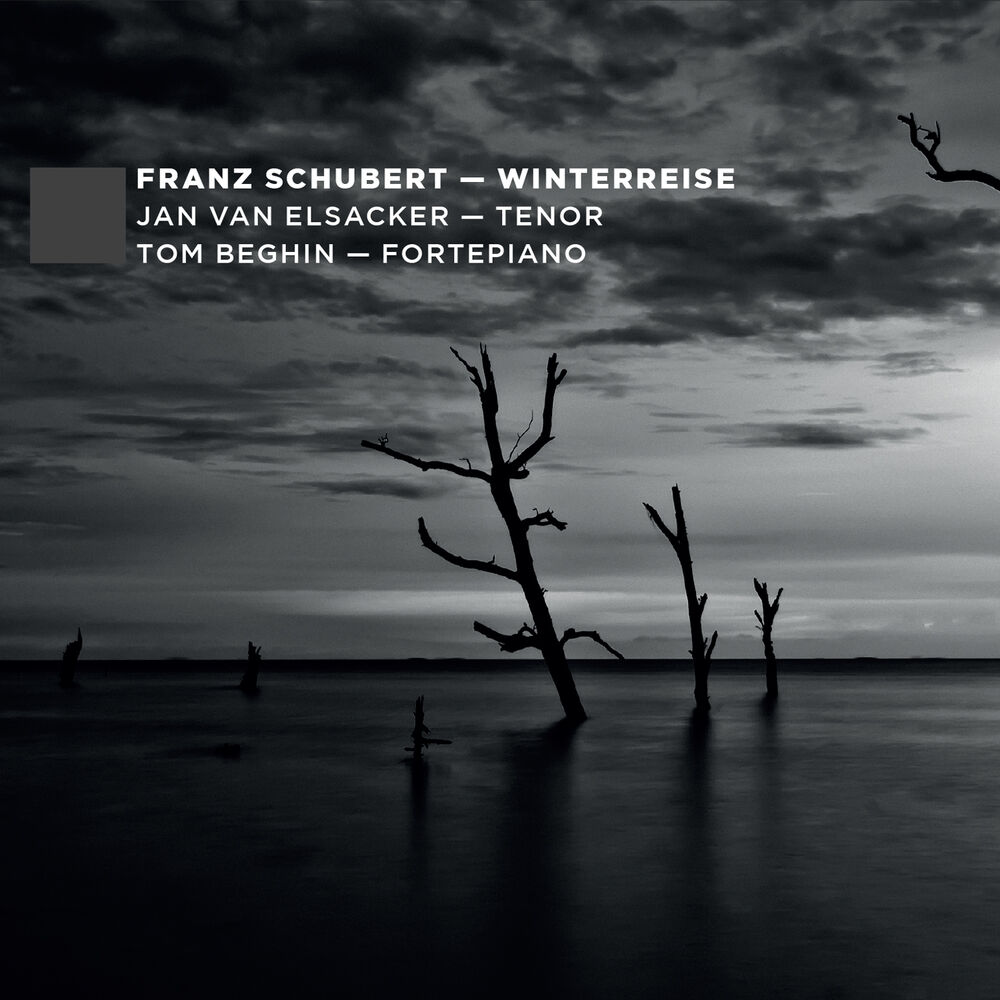 Picture of F. Schubert: Winterreise