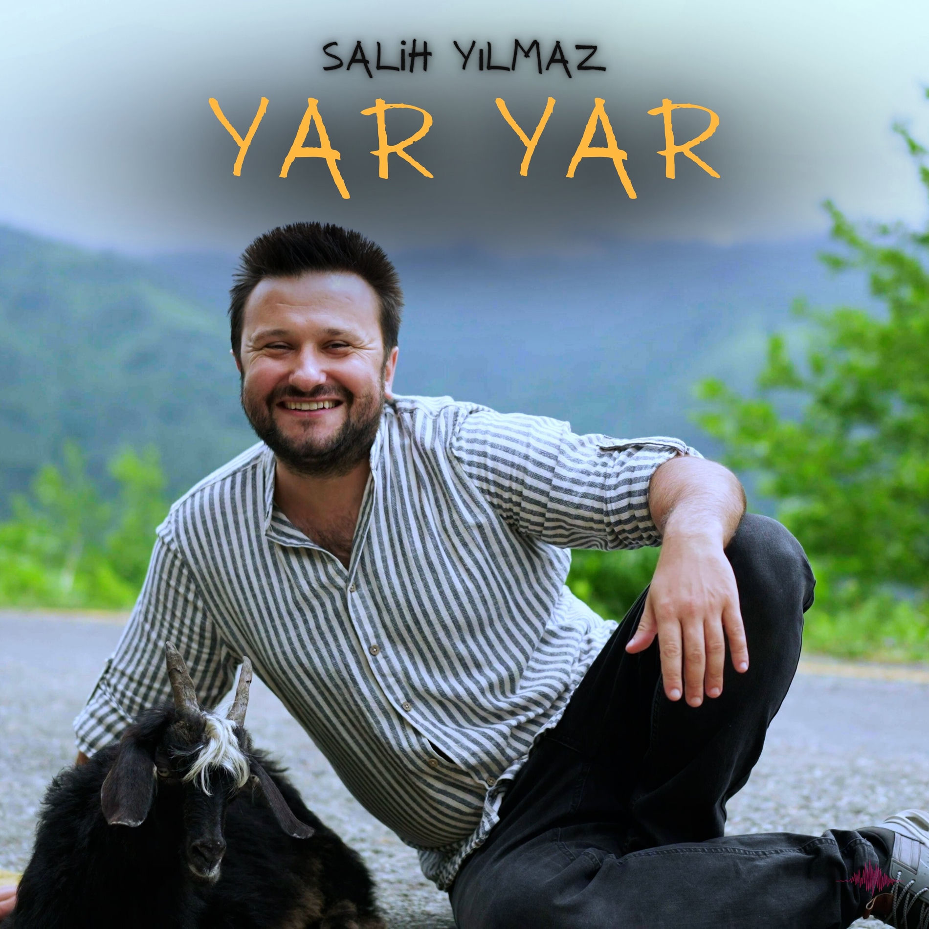 Album cover of Yar Yar