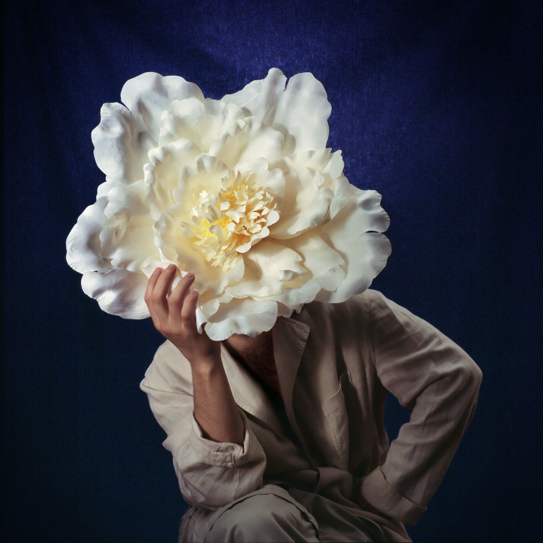 Album cover of fleur