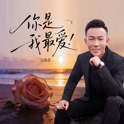 你是我最爱 (DJ小刚版)