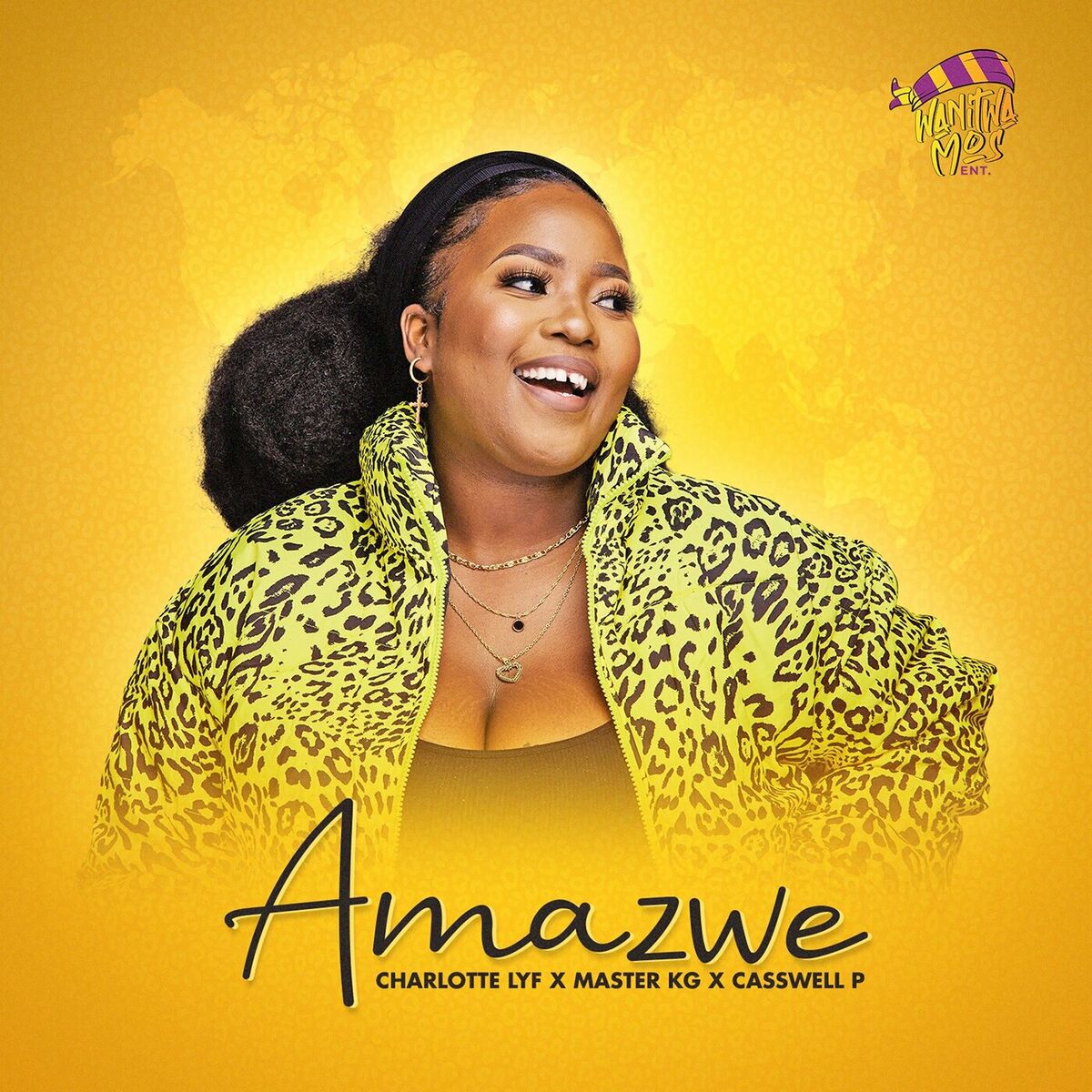 Album cover of Amazwe