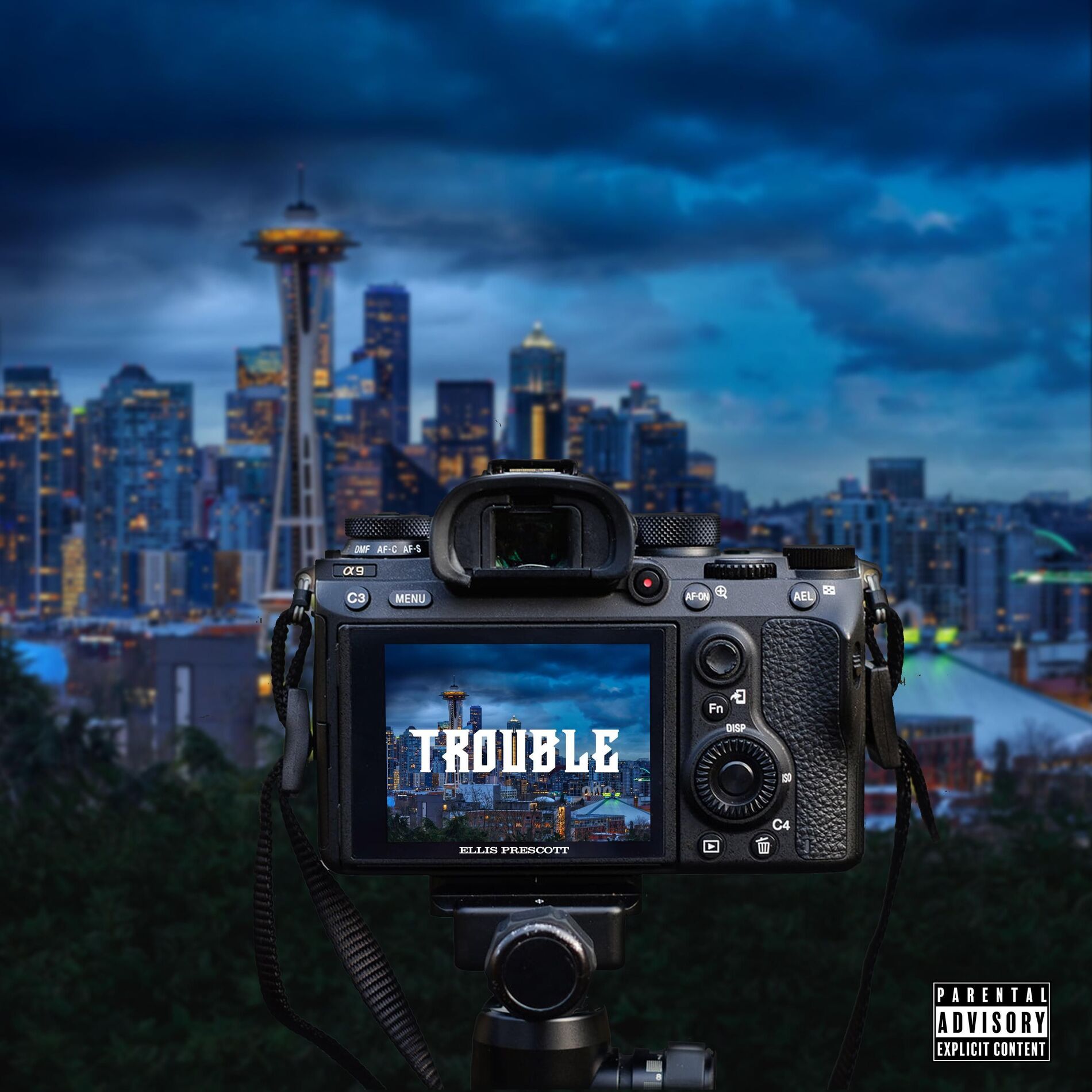 Album cover of Trouble