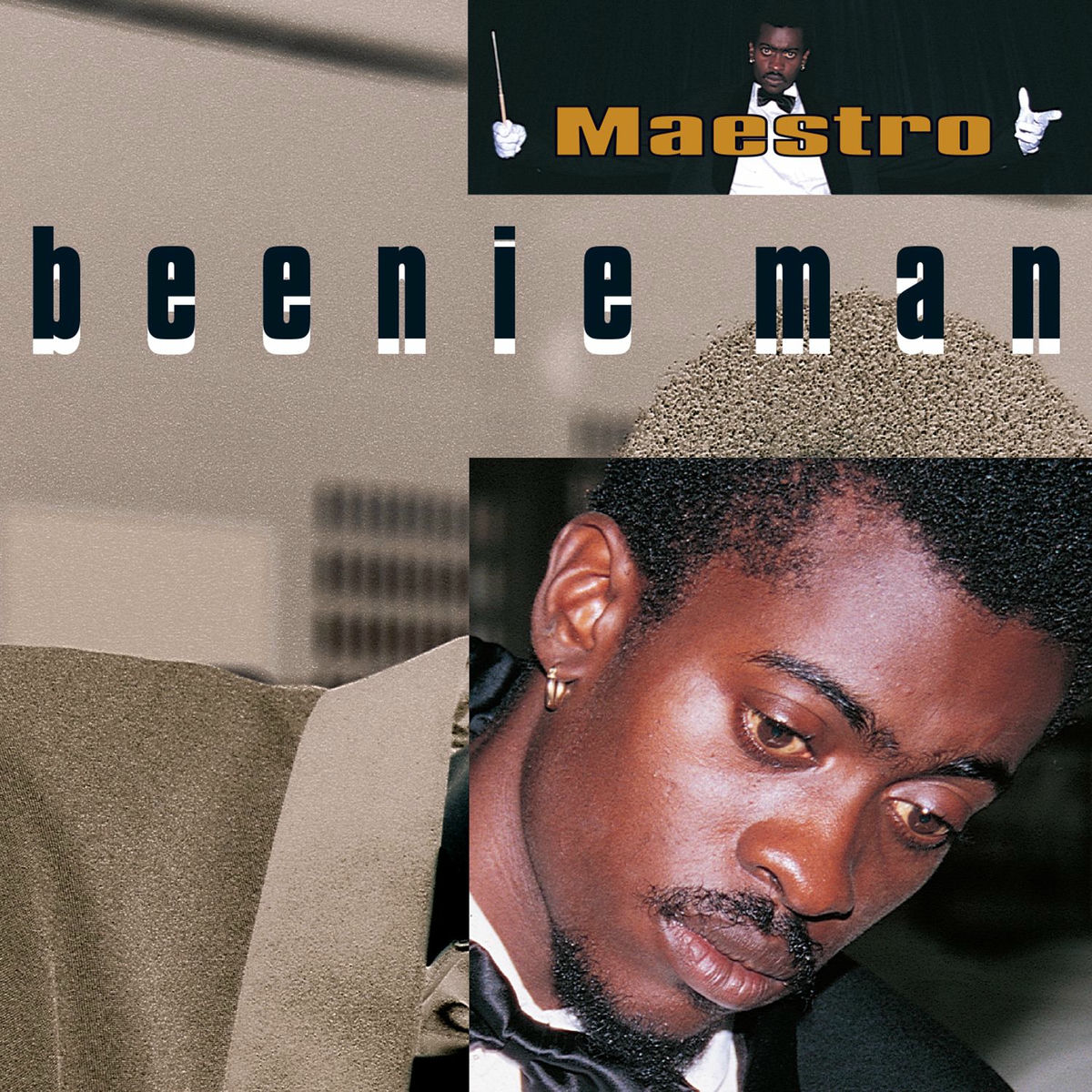 Album cover of Maestro