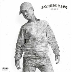 Cover of Zombie Life
